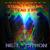 Shallow Grave - Neil Citron