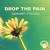 Summer Dreams - Drop the Pain