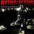 Conceived Into Enslavement - Dying Fetus