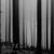 Withered - Umar Keyn