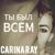 Ты был всем - Carina Ray