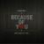 Because of You - Tony Igy