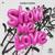 Show Me Love - Curly Hook