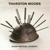 Shadow - Thurston Moore