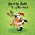 Christmas Lights - Christmas Music