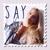 Say - Airyen Vay