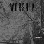 Обложка трека Visceral