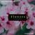 Flowers - Hamidshax