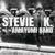 Blue Shadows Falling - Stevie and the Amayumi Band