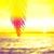 Sunshine In Bali - Ashot Danielyan