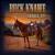 Hey Mr. Space - Buck Knawe
