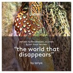 Обложка трека The World That Disappears