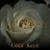 White Roses - Umar Keyn