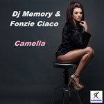 Обложка трека Camelia