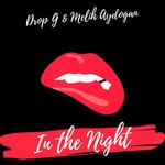 Обложка трека In the Night