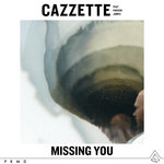 Обложка трека Missing You