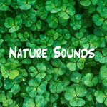 Обложка трека Nature Sounds - Deep Nature Recordings