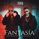 Обложка трека Fantasía