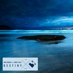 Обложка трека Destiny