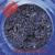 Damnation - Morbid Angel