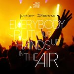 Обложка трека Everybody Put Your Hands up in the Air