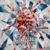 Anything & Everything - Vini Vici
