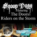 Обложка трека Riders on the Storm [OST NFS Underground 2]