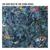 What the World Is Waiting For - The Stone Roses