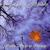 После... - Autumn Rain Melancholy