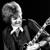 Lady Of Fatima - Tom Fogerty