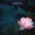 A Prayer for Tenderness - Chronotope Project