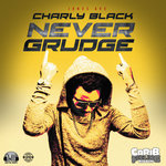 Обложка трека Never Grudge