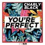 Обложка трека Youre Perfect