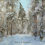 Обложка трека The Shrouded in Darkness