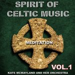 Обложка трека St Patrick Jig