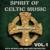 St Patrick Jig - Kate Mcmayland and Her Orchestra