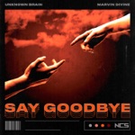Обложка трека Say Goodbye (feat. Marvin Divine) [NCS Release]