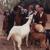 Wouldn't It Be Nice - The Beach Boys
