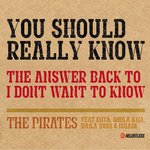 Обложка трека You Should Really Know (Feat. Enya, Shola Ama, Naila Boss and Ishani)