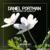 Musica del Futuro - Daniel Portman