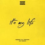 Обложка трека It's My Life