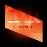Обложка трека Forever Dub