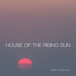 Обложка трека House of the Rising Sun