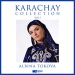 Обложка трека Aydzhayak