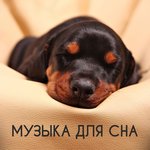 Обложка трека Тело и Душа (музыка для релаксации)
