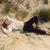 Outside - Jaakko Eino Kalevi