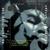 Rock Da Spot - Armand Van Helden