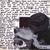 Why Did You Break My Heart/ Piracy - Babyshambles