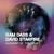 Big Chillum - David Starfire
