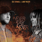 Обложка трека Never Say Never
